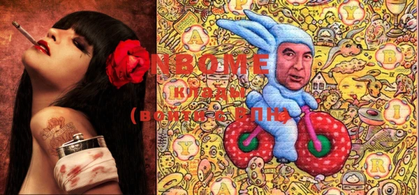 эйфоретик Алзамай