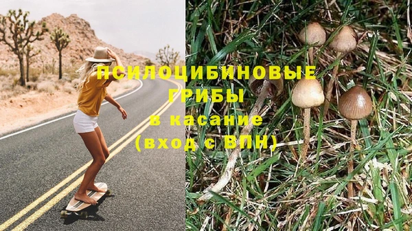 эйфоретик Алзамай