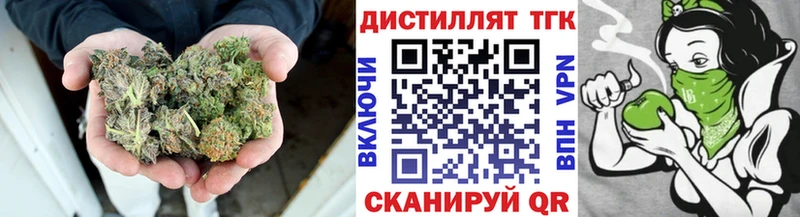 ТГК концентрат  площадка клад  Татарск 