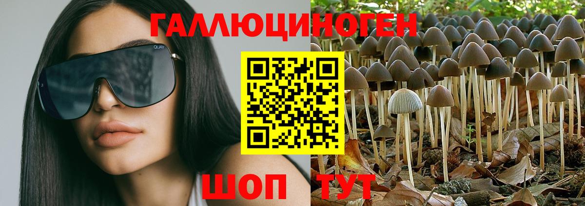 Псилоцибиновые грибы ЛСД  Вход с VPN  Татарск 